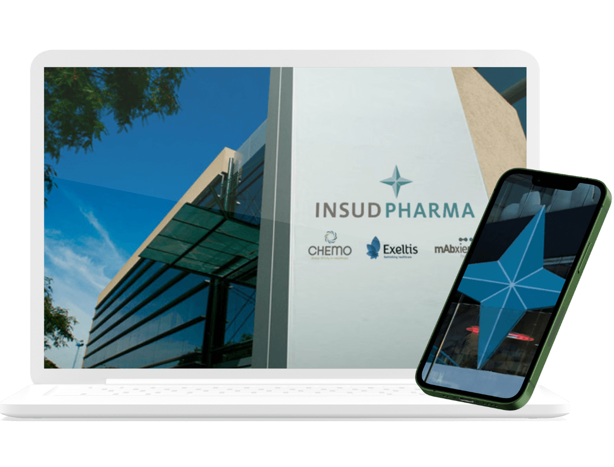 Insud Pharma project results and outcomes